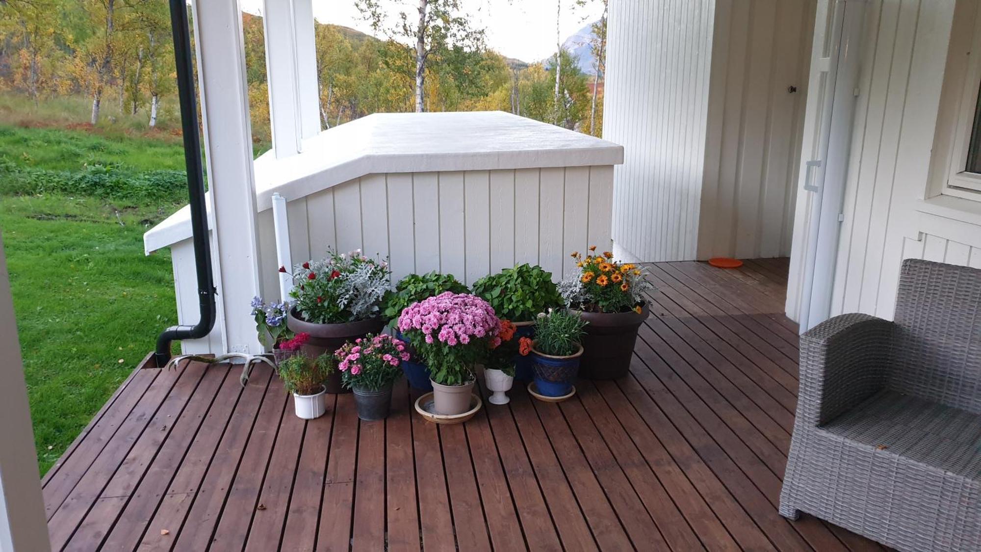 Tromtind Lodge Tromso Bagian luar foto