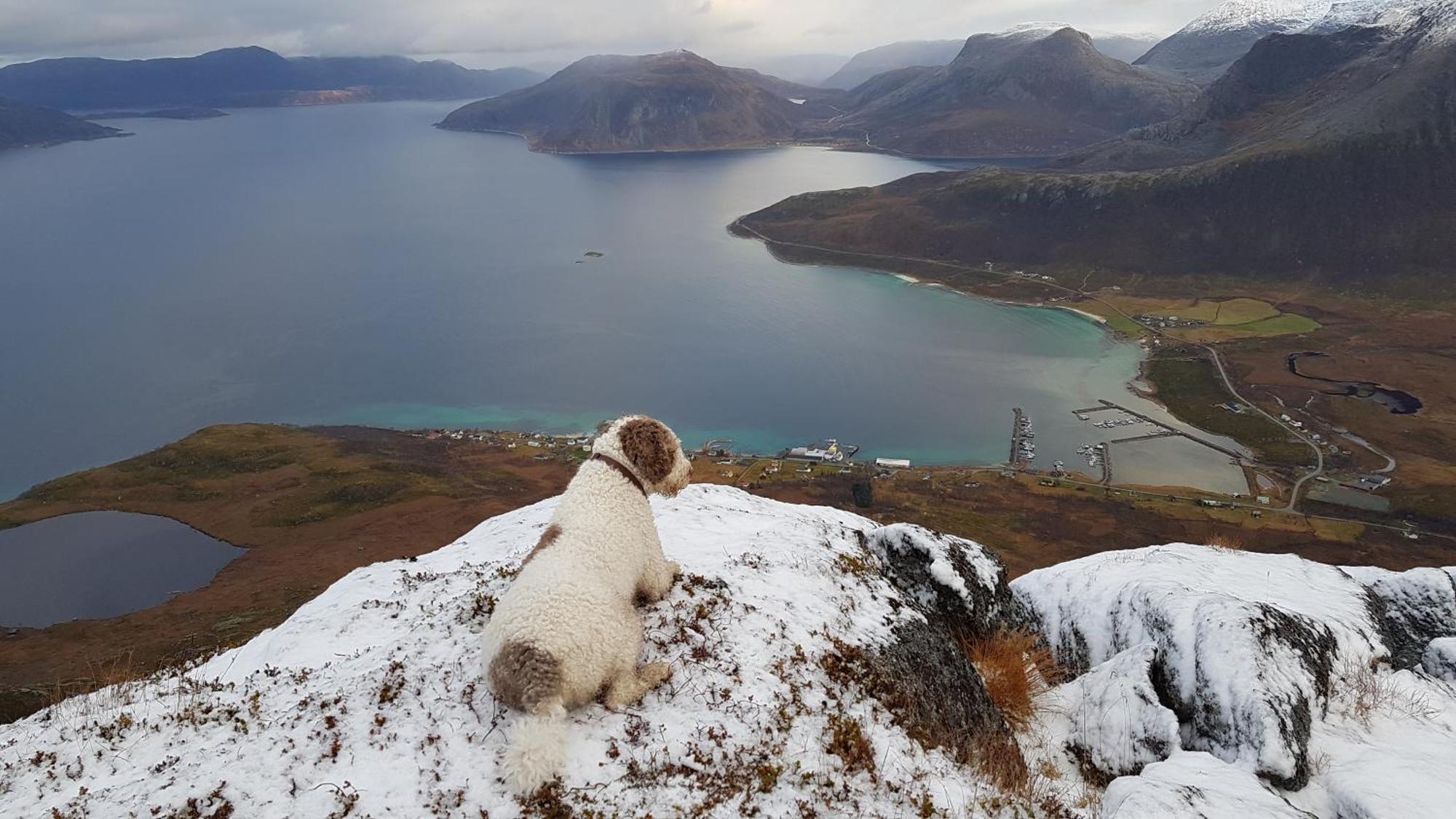 Tromtind Lodge Tromso Bagian luar foto